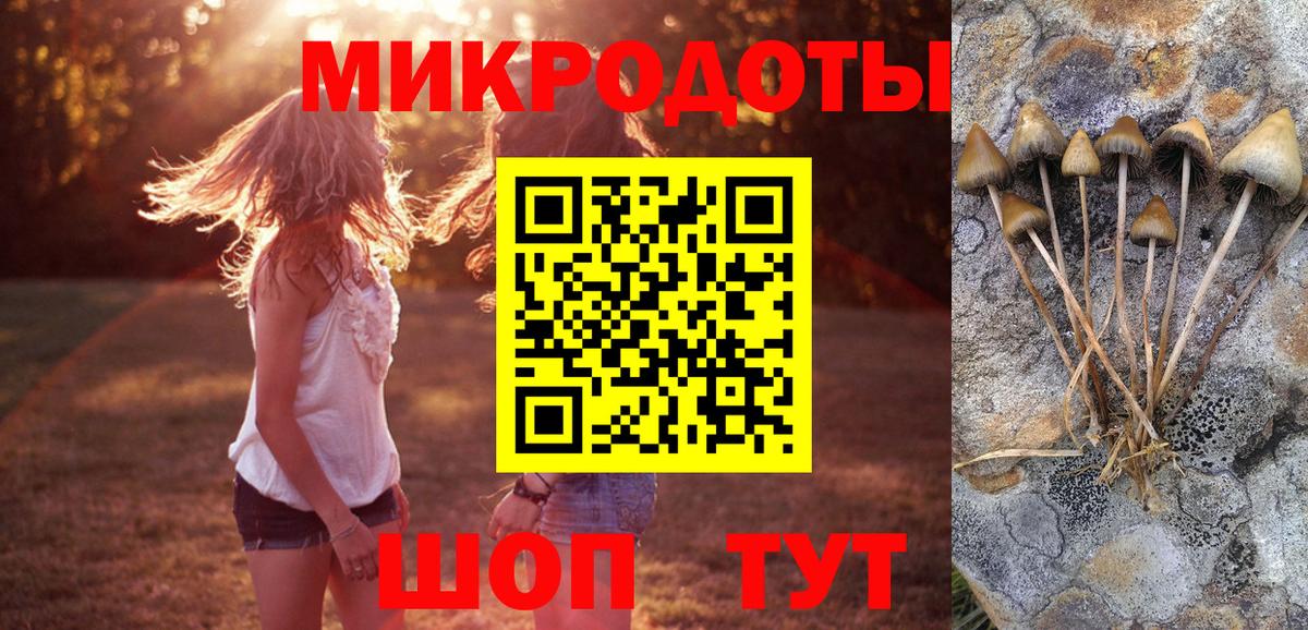 Псилоцибиновые грибы прущие грибы  Галлюциногенные грибы мицелий  Вход с VPN  купить   Курган 